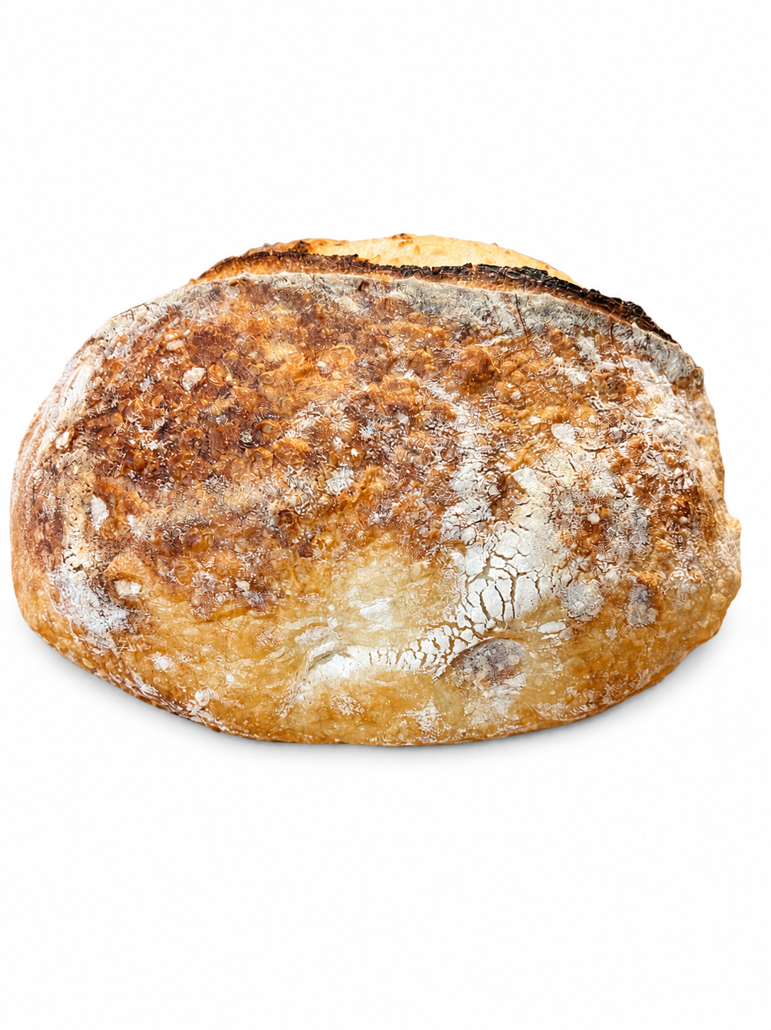 Classic Sourdough Boule