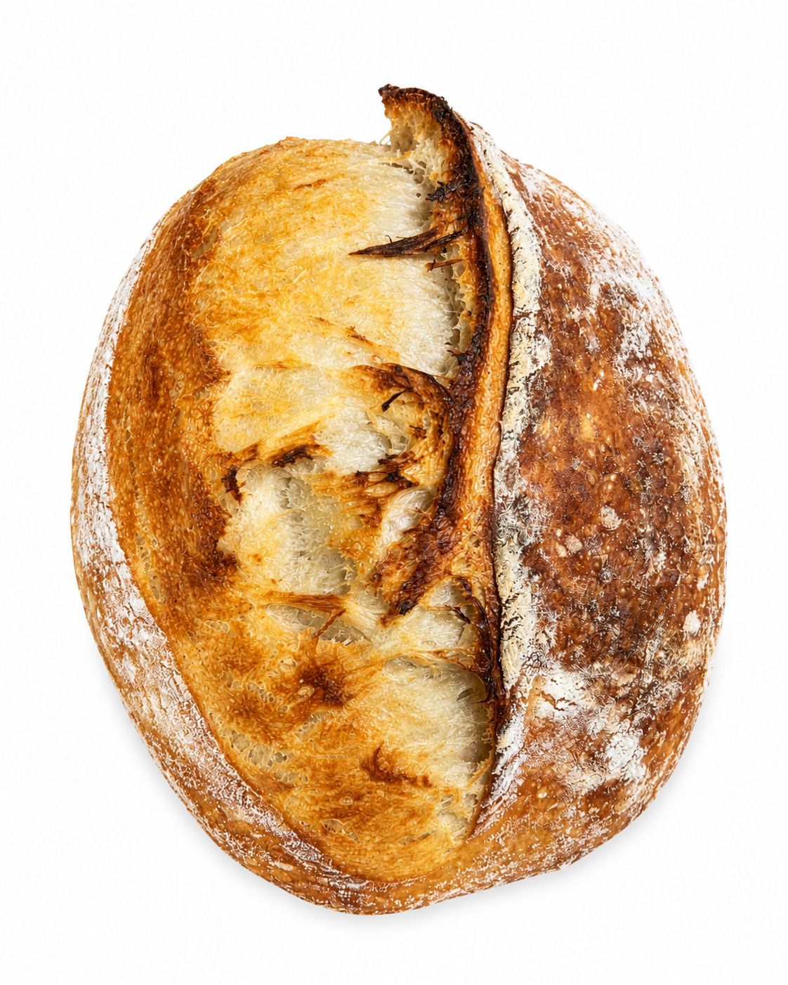 Classic Sourdough Boule